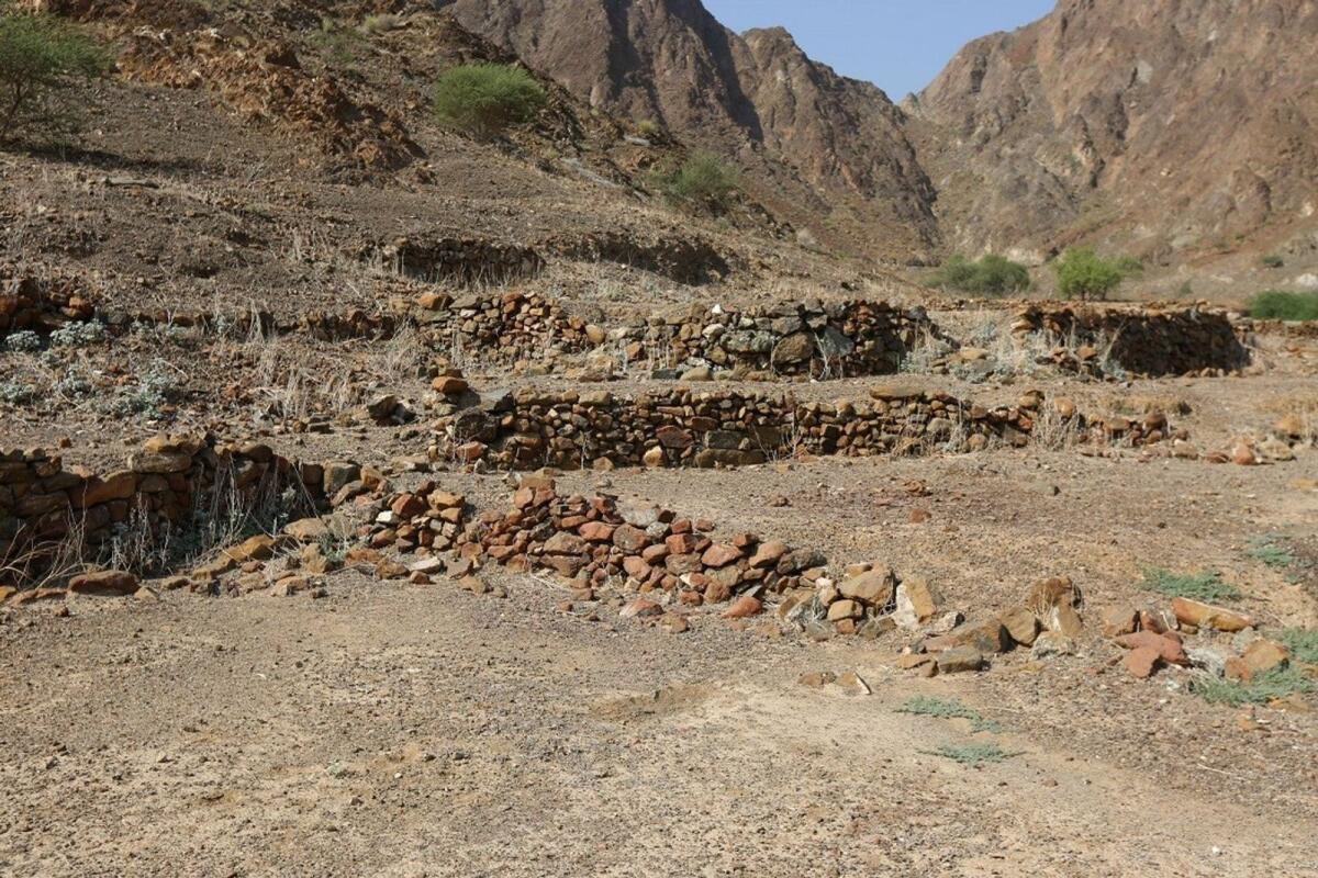 The Wadi Jima site