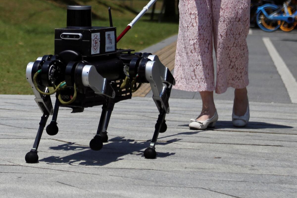 A visually impaired person walks with a six-legged robot 'guide dog' during a demonstration of a field test for a Shanghai Jiao Tong University test team, in Shanghai, China on June 18, 2024.  — Reuters