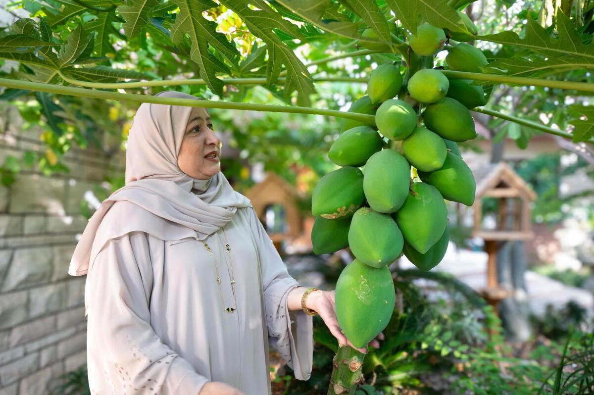 Naeema Al Amiri, at her garden in Al Garhoud Dubai. June 4, 2024. KT Photos: Shihab