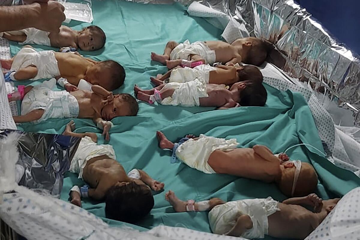 FILE - Prematurely born Palestinian babies in Shifa Hospital in Gaza City. Photo: AP