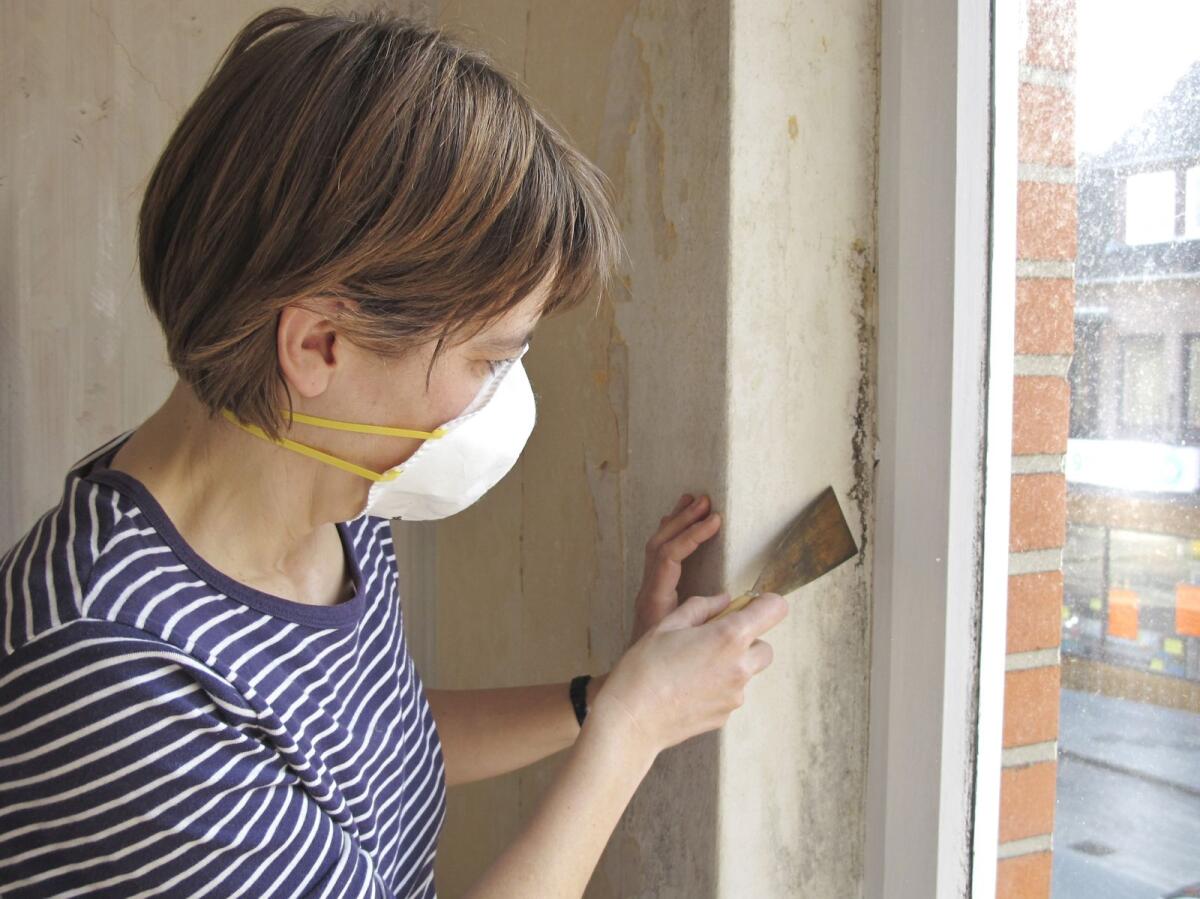 Woman with a respirator mask removes mould-covered wallpaper.