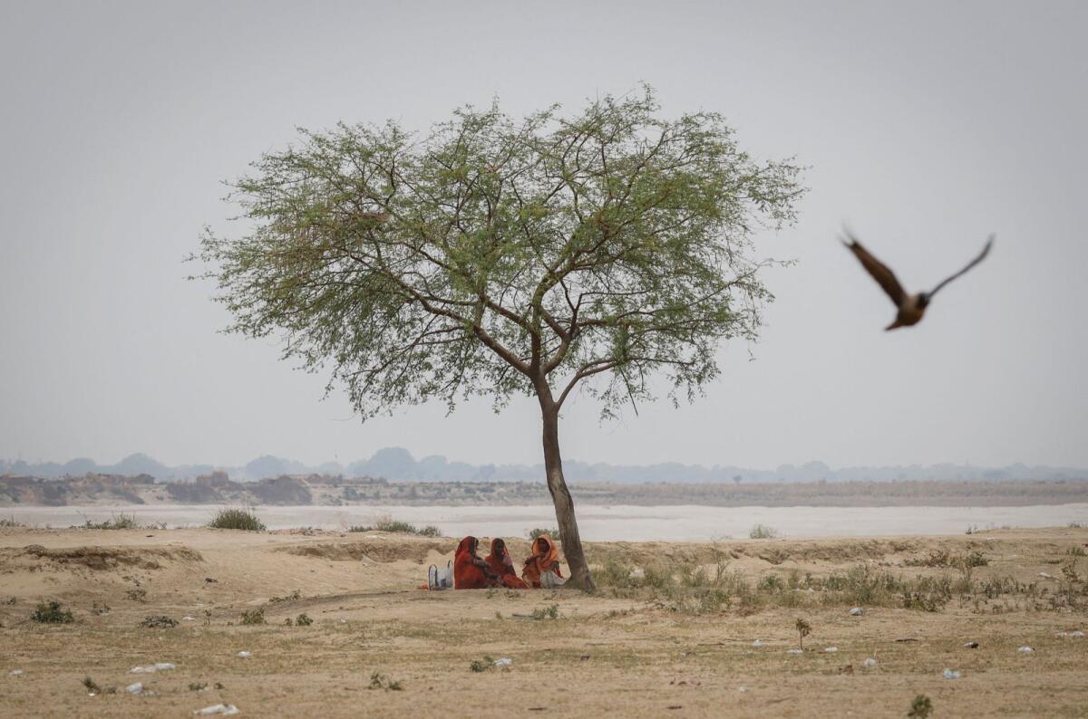 Women rest under a tree on a hot summer day. Photo: Reuters