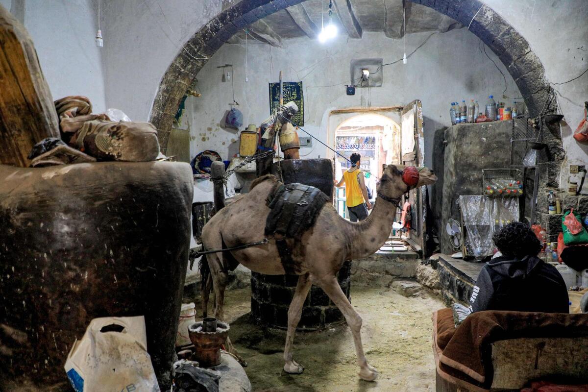A camel operates a traditional press producing natural oils at a shop in the old city of the Yemeni capital Sanaa on July 20, 2023.— AFP