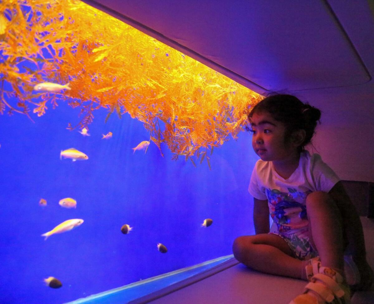 Gabrielle enjoying her time at the SeaWorld Abu Dhabi. Photo: Supplied