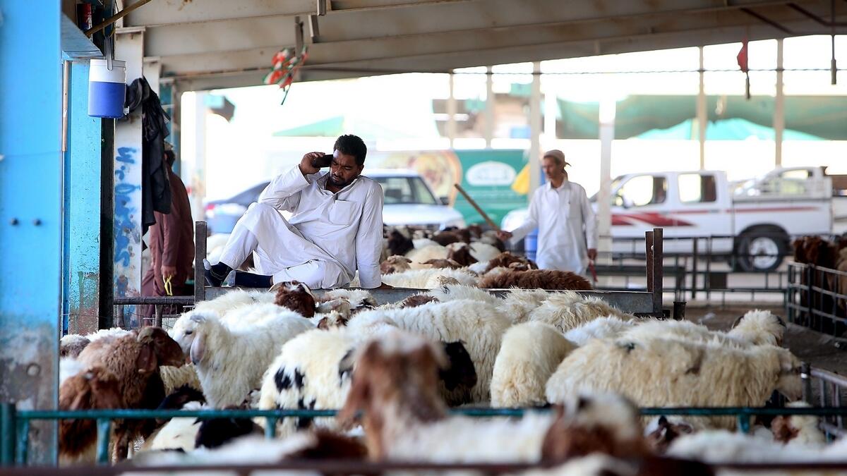 Eid Al Adha, slaughtering,  meat delivery service, home,   abbatoirs, concept meat store, ‘Qurbani’, Meat One,Dubai Municipality Abattoir, Al Qusais, Dubai Silicon Oasis and Sharjah,  