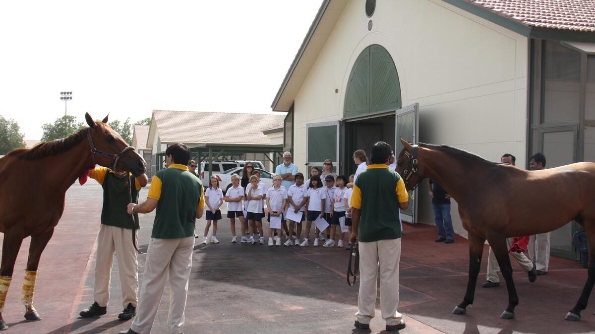 Meydan Equine Education Programme returns for a fifth year  