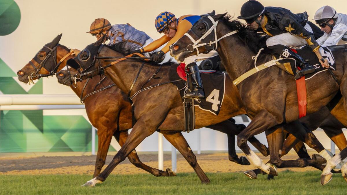 Fall Of Rome (centre) wins the Mussafah Bridge handicap. —  Abu Dhabi Equestrian Club
