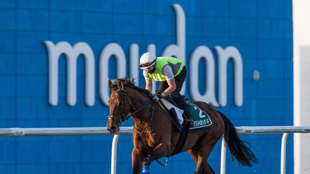 Mishriff, trained by John Gosden, during morning trackwork at the Meydan Racecourse on Tuesday. (Dubai Racing Club/Erika Rasmussen)