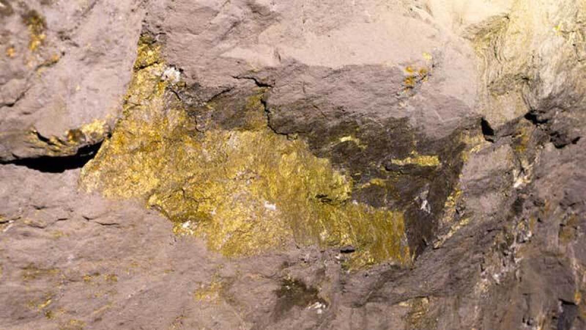 Lucky homeowner finds gold mine in back garden