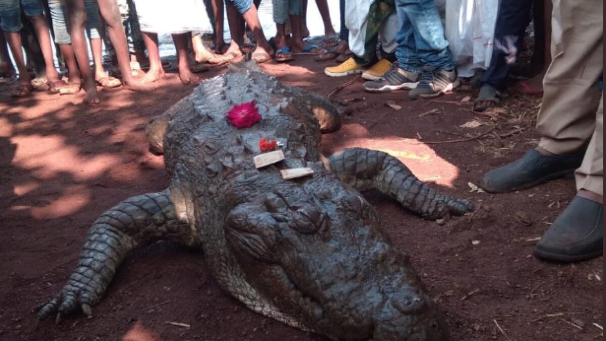 500 people gather to mourn death of 130-year-old crocodile 