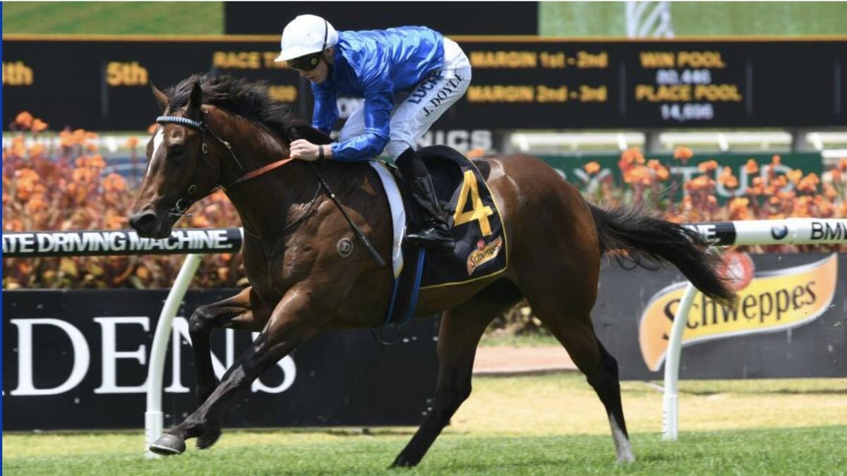 Trekking also claimed the second Group 1 winner of his career. - Supplied photo