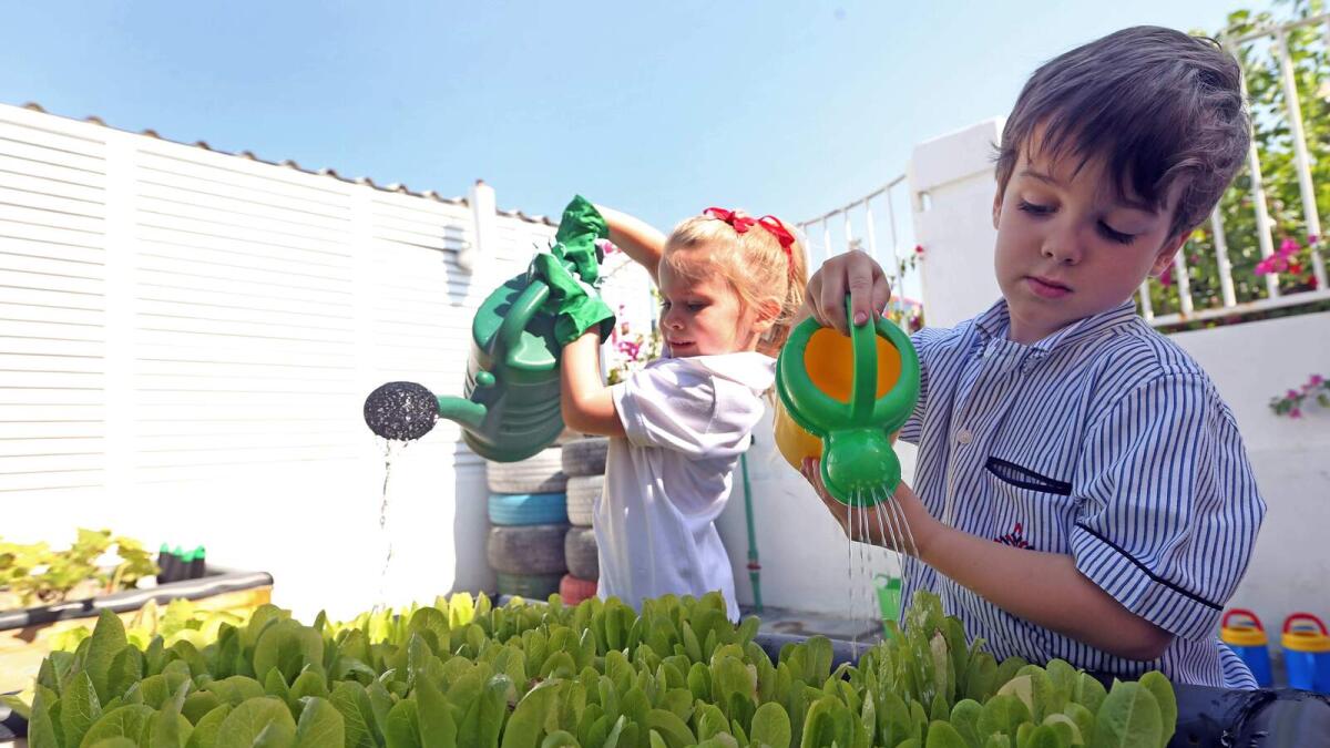 45 Dubai schools growing fruits, vegetables in own garden
