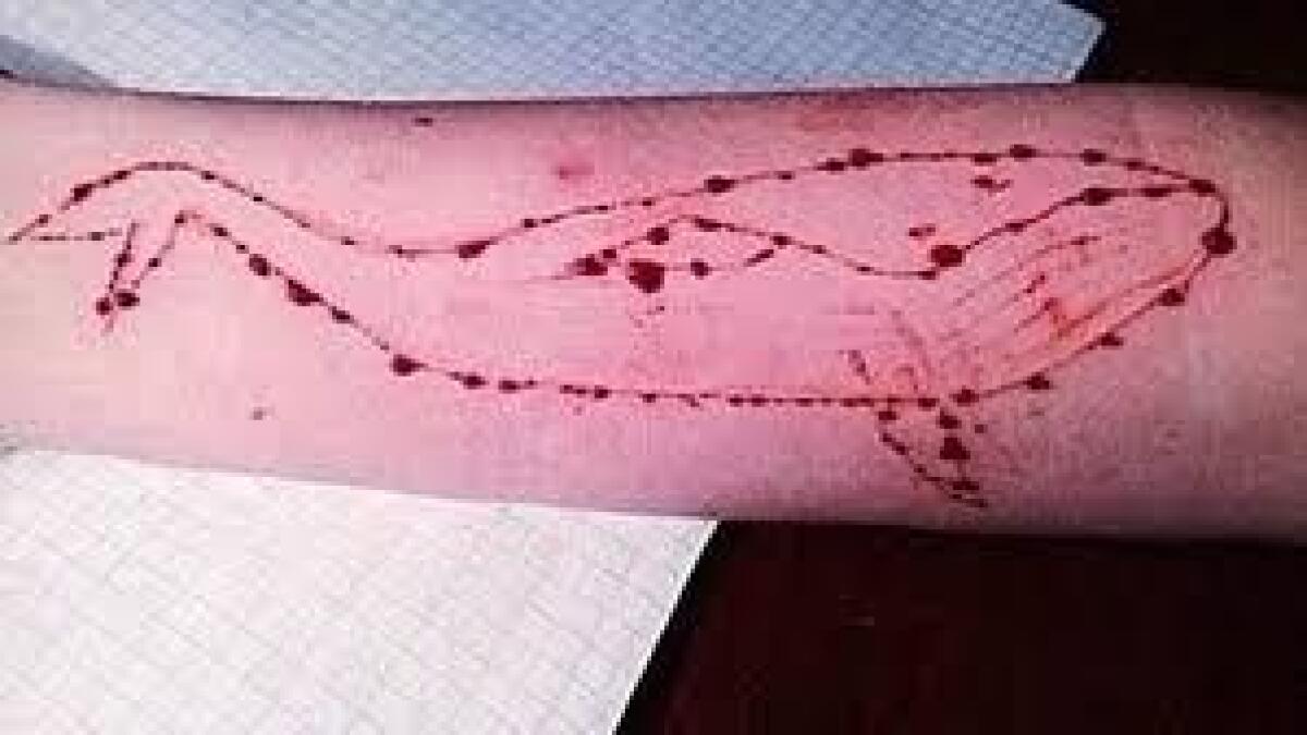 Another suicide suspected due to Blue Whale game in India 