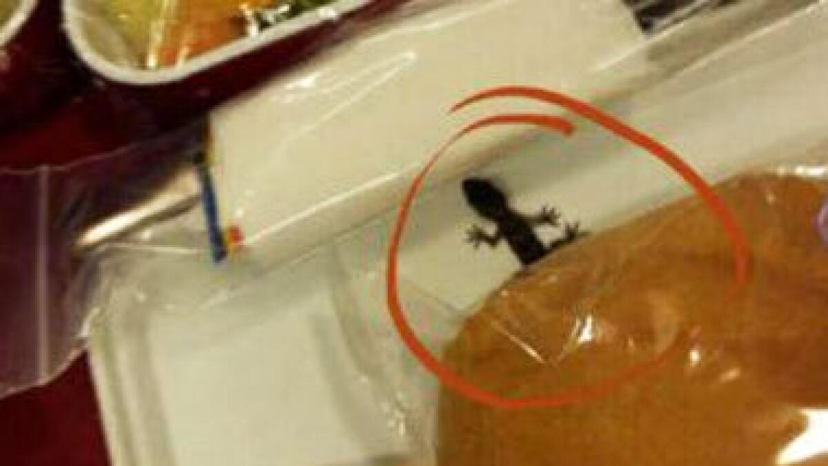 Flyer claims to find lizard in meal tray on Air India flight; airline denies