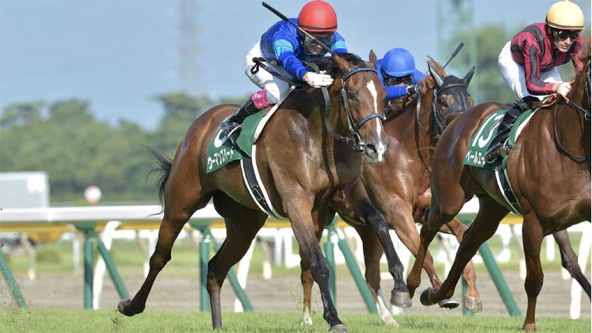Woman's Heart will be contesting the Grade 1 Japanese Oaks in Tokyo on Sunday. - Supplied photo
