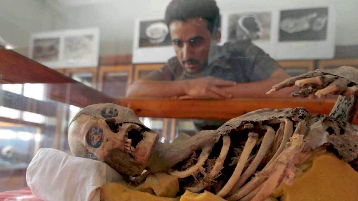 A Yemeni student looks at a millenia-old mummy displayed at Sanaa University, in Yemen. 