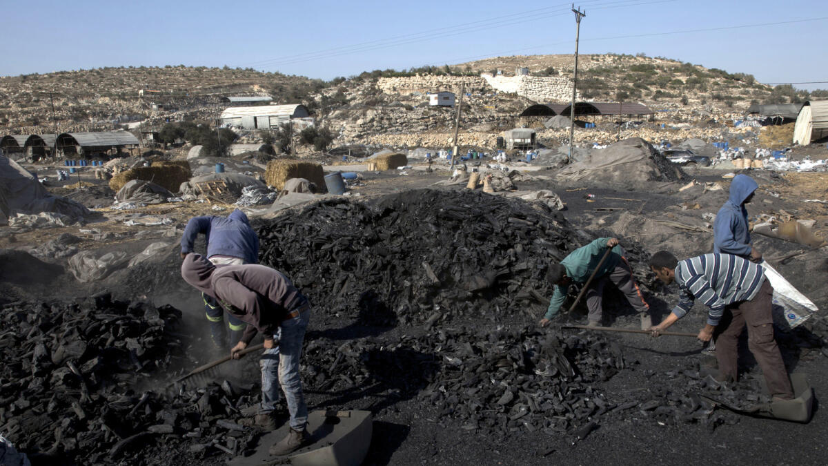 In this photo taken Monday, Nov. 21, 2016, Palestinian laborers work at the site of a charcoal factory, in the West Bank town of Yabad, near Jenin.