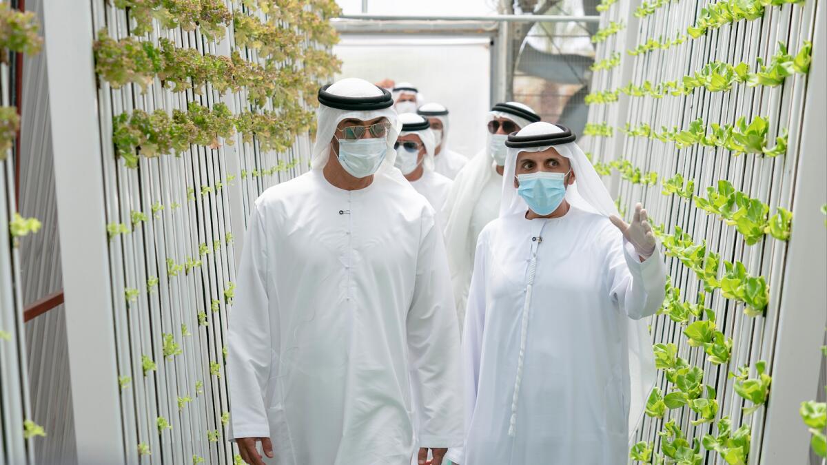 Sheikh Mohamed bin Zayed during a tour of a vertical farm. — Wam file