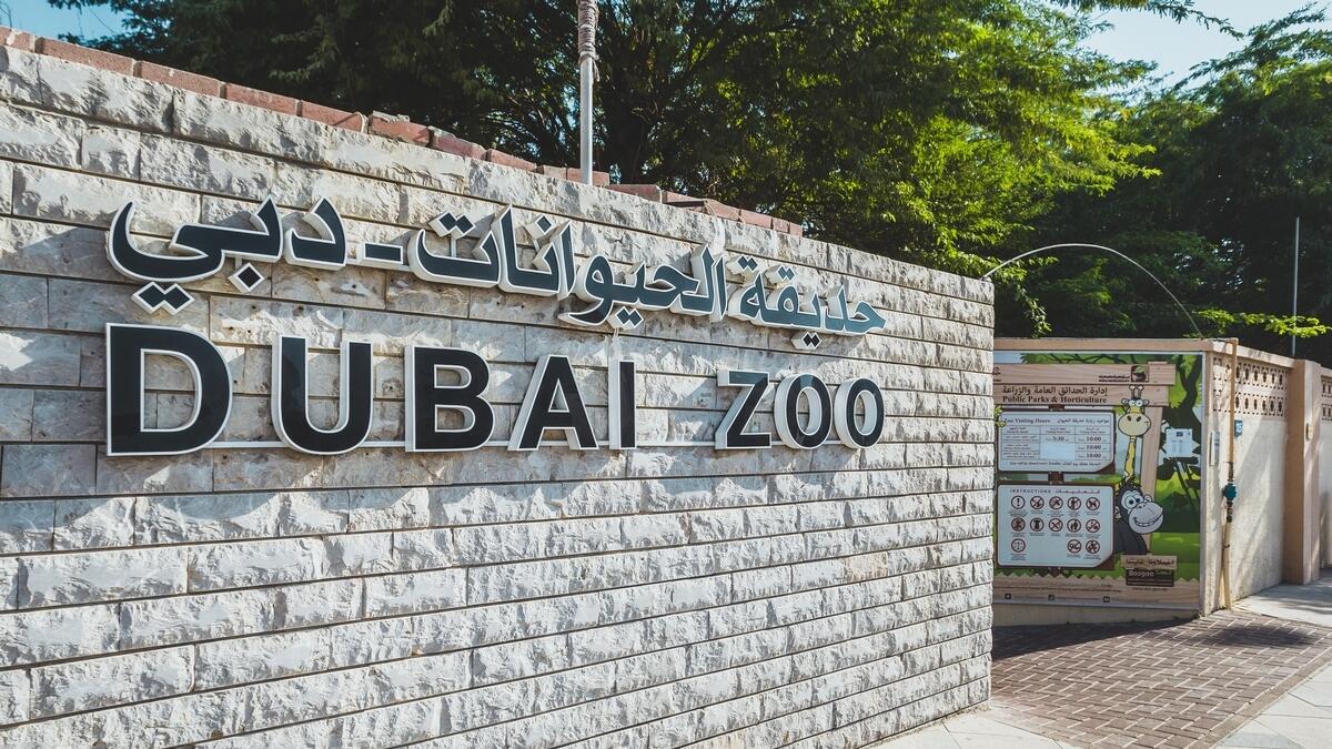 Dubai residents will cherish the memories of Dubai Zoo,  a landmark in the late 1960s.