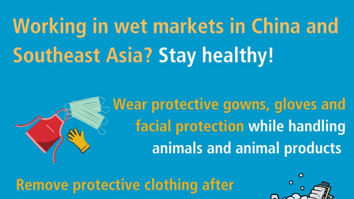 When visiting live markets in areas currently experiencing cases of novel coronavirus, avoid direct unprotected contact with live animals and surfaces in contact with animals.