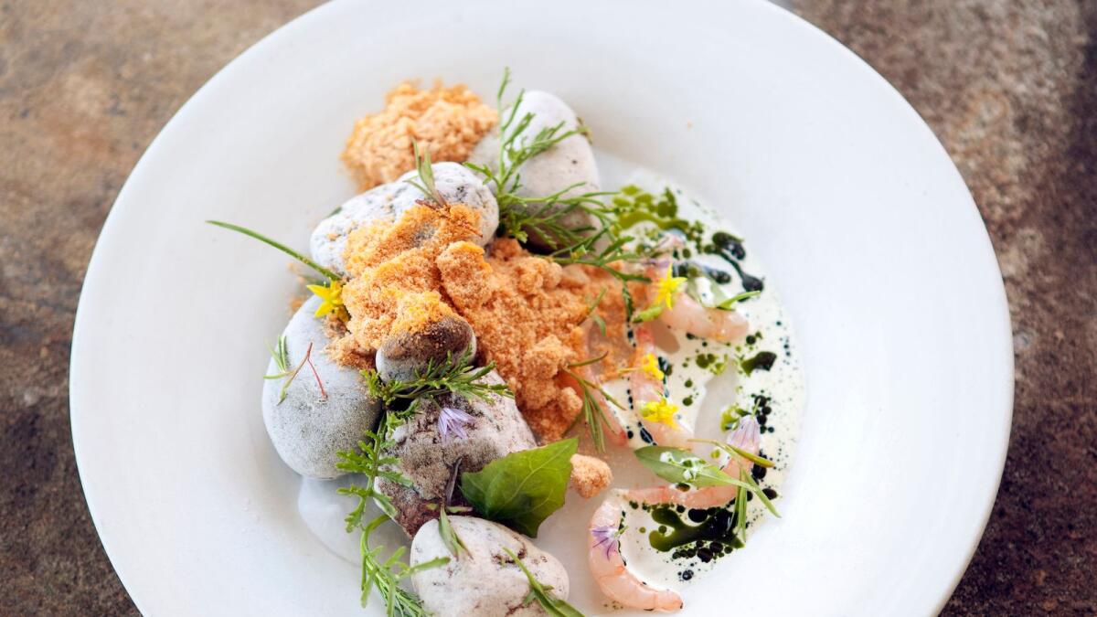 Orange sea urchin powder, red shrimp and herbs all arranged around little smooth pebbles from Noma restaurant in Copenhagen, June 21, 2010. As the renowned Copenhagen destination prepares to end its regular service, Pete Wells examines its complicated legacy.