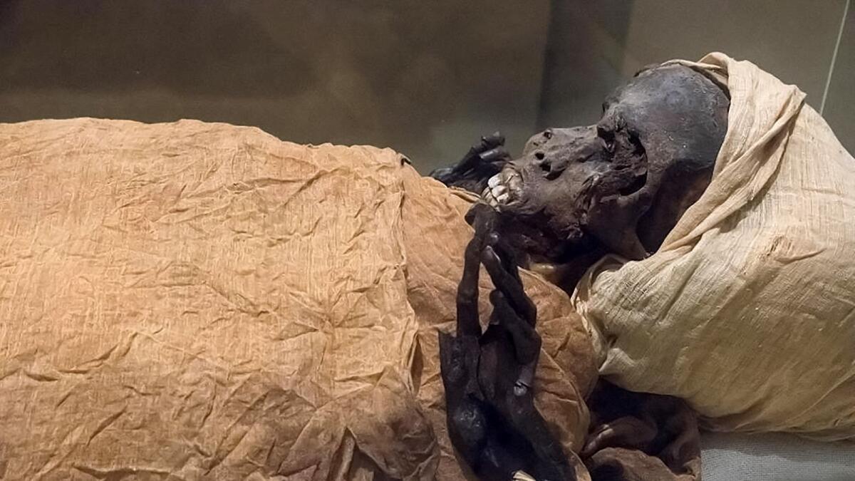 A view of the mummy of ancient Egyptian King Seqenenre Tao II, 'the Brave', who reigned over southern Egypt some 1,600 years BCE. The mummies of 18 ancient Egyptian kings and four queens will be paraded through the streets of Cairo on April 3.