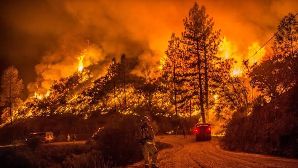 wildfires, flee, united states, oregon, washington