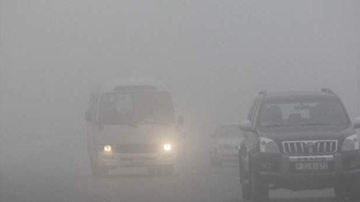 Drive carefully! Fog expected today