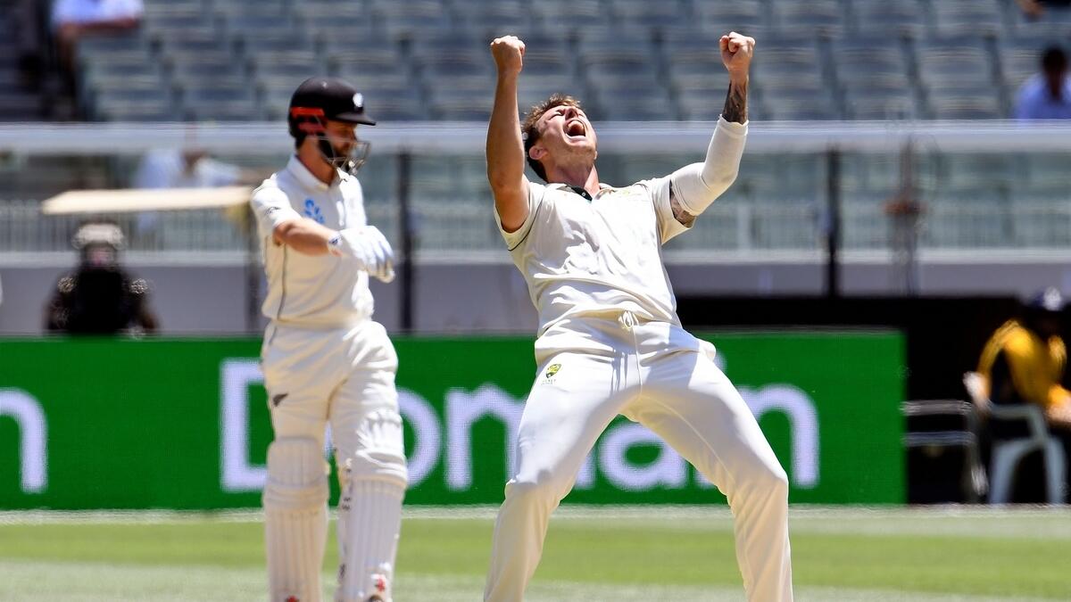 Australia rout New Zealand by 247 runs, seal series