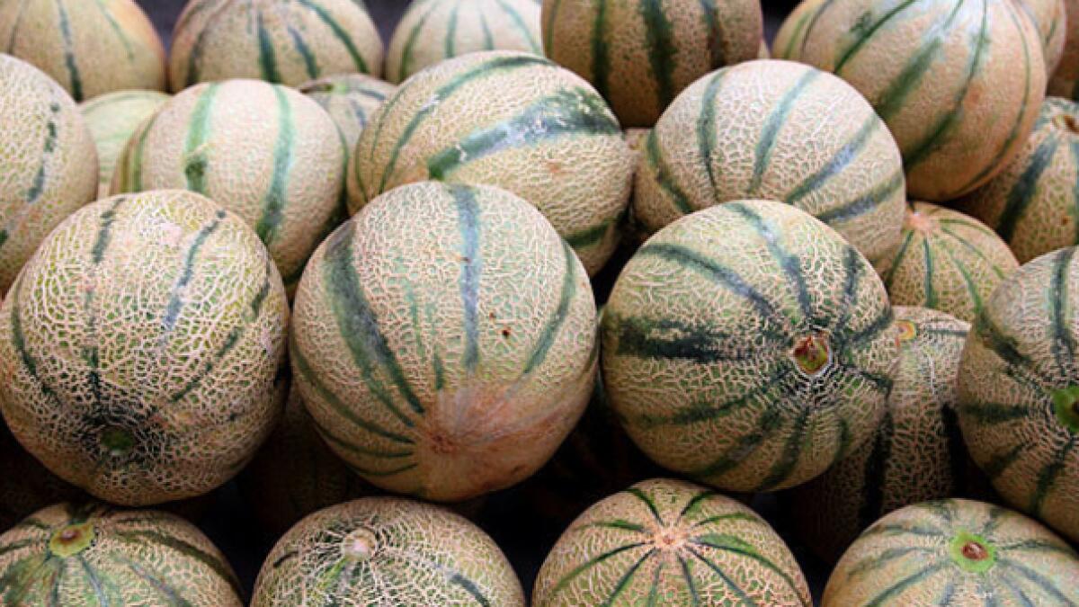 UAE bans rock melons from Australia 