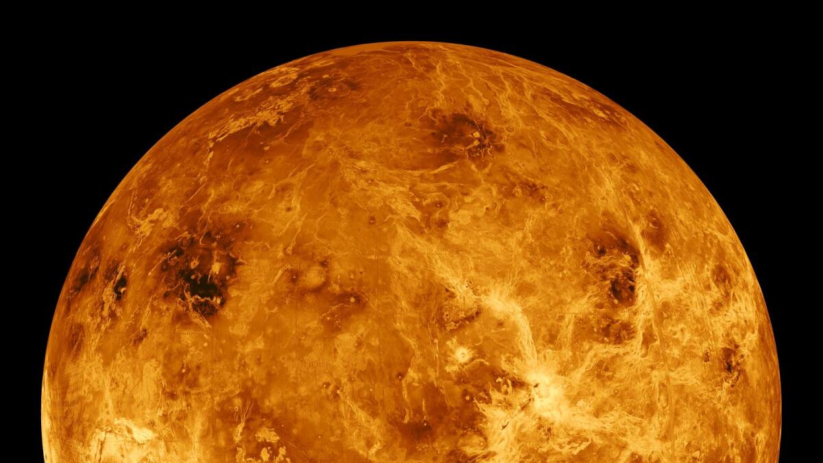 This image made available by Nasa shows the planet Venus made with data produced by the Magellan spacecraft and Pioneer Venus Orbiter from 1990 to 1994.