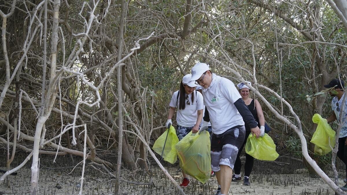 Half a tonne waste removed from Eastern Mangroves