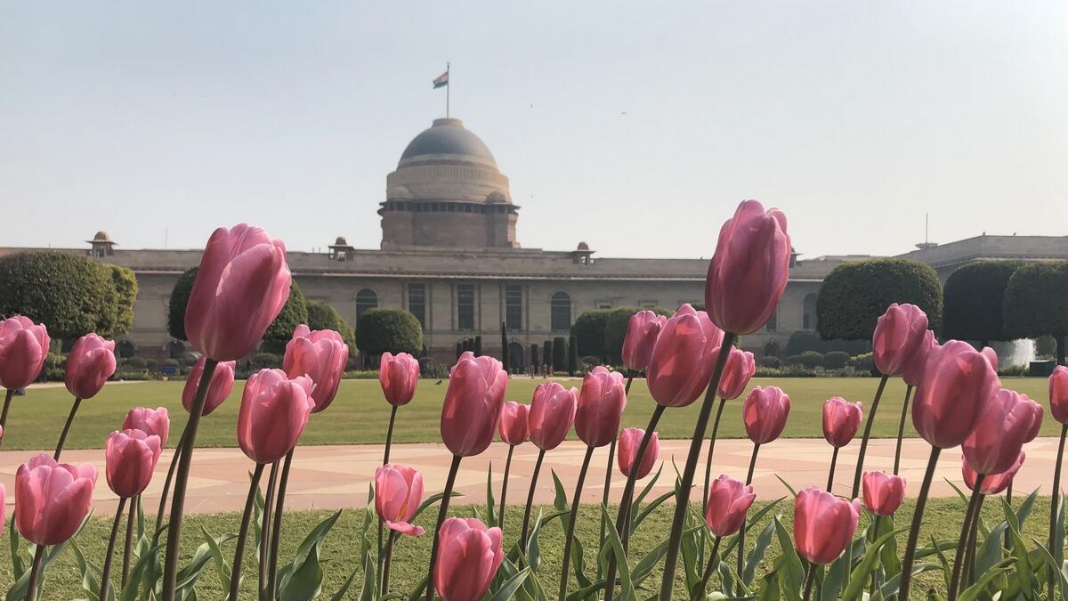 Indian presidential gardens, Rashtrapati Bhavan, Ram Nath Kovind, India
