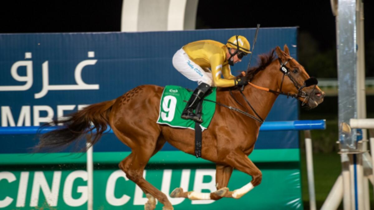 Record UAE Champion Jockey Tadhg O'Shea rides Imperial Empire to victory in the featured Czech Business Council Conditions Stakes Sponsored by Dubai Chamber at the Meydan Racecourse on Thursday night. — Dubai Racing Club