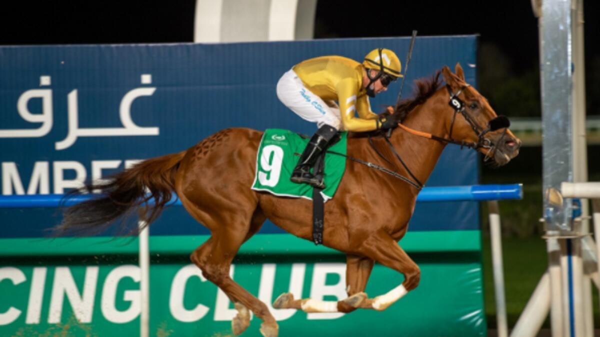 Record UAE Champion Jockey Tadhg O'Shea rides Imperial Empire to victory in the featured Czech Business Council Conditions Stakes Sponsored by Dubai Chamber at the Meydan Racecourse on Thursday night. — Dubai Racing Club