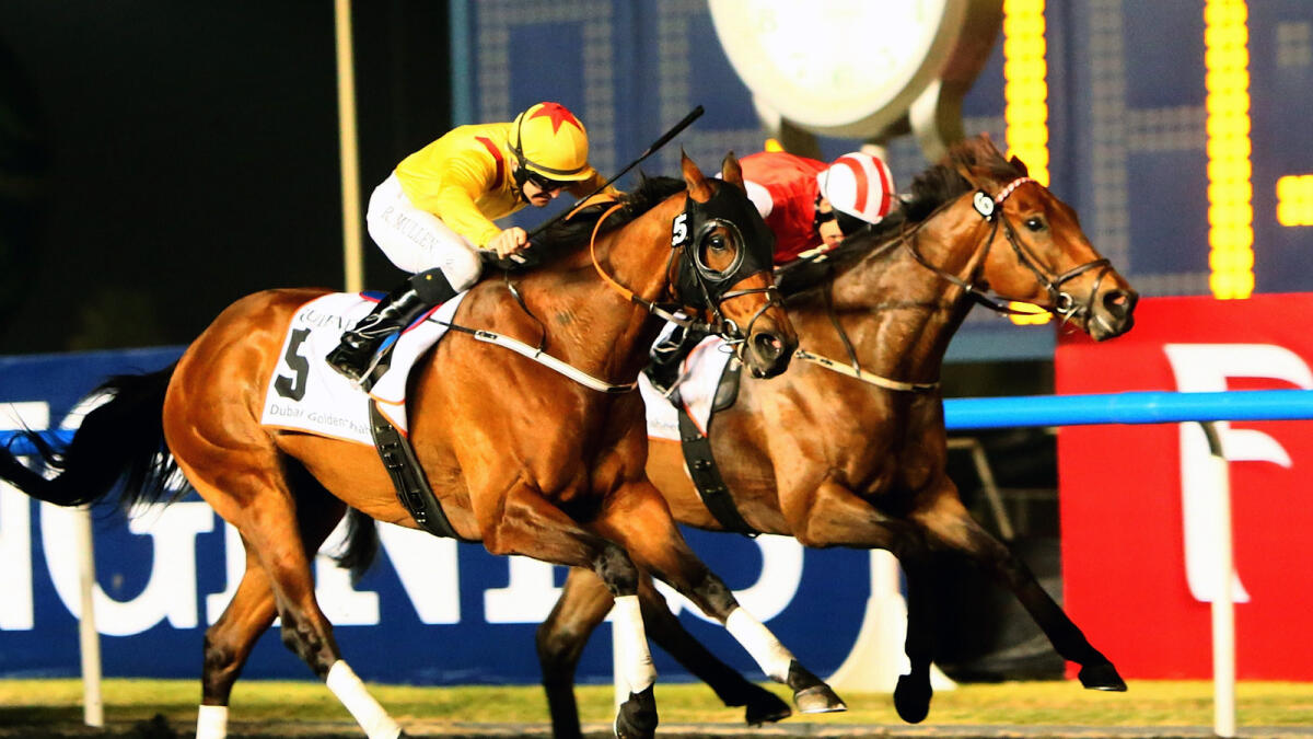 Top runners to vie for honours in Shindagha Sprint at Meydan