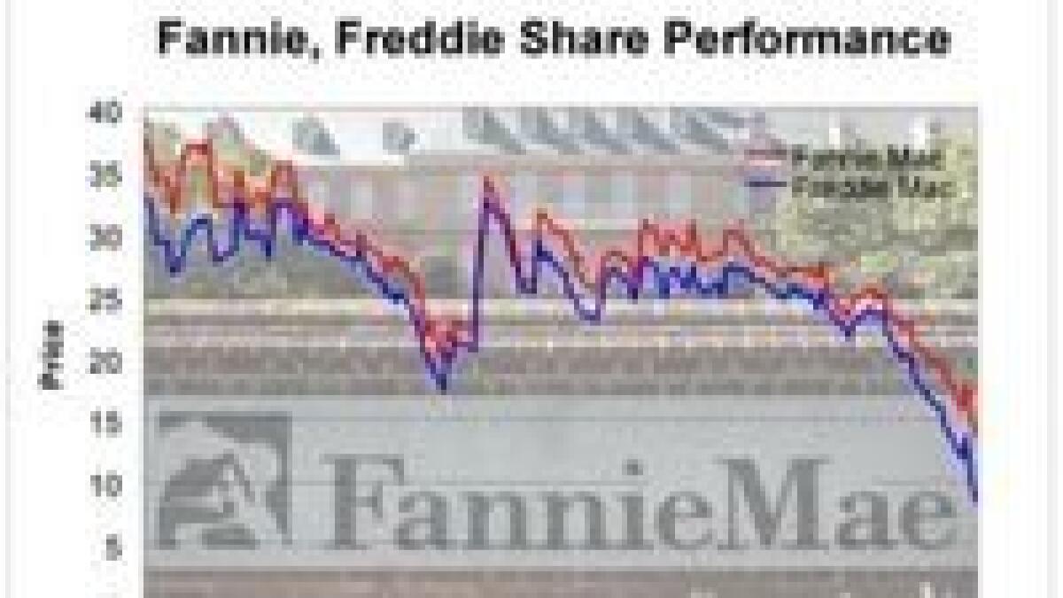 Fannie, Freddie central to US housing market