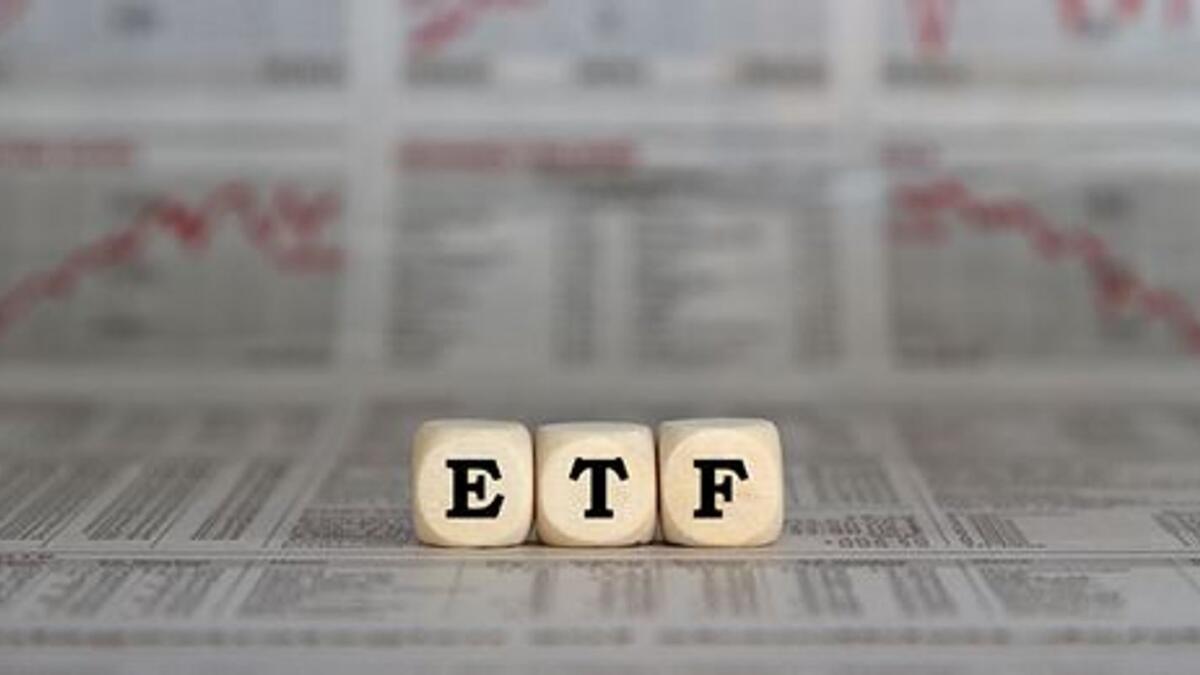 Investors have benefited from the ETF’s performance in its first year, with Net Asset Value (NAV) increasing by over 47.3 per cent as of the end of July 2021. — File photo