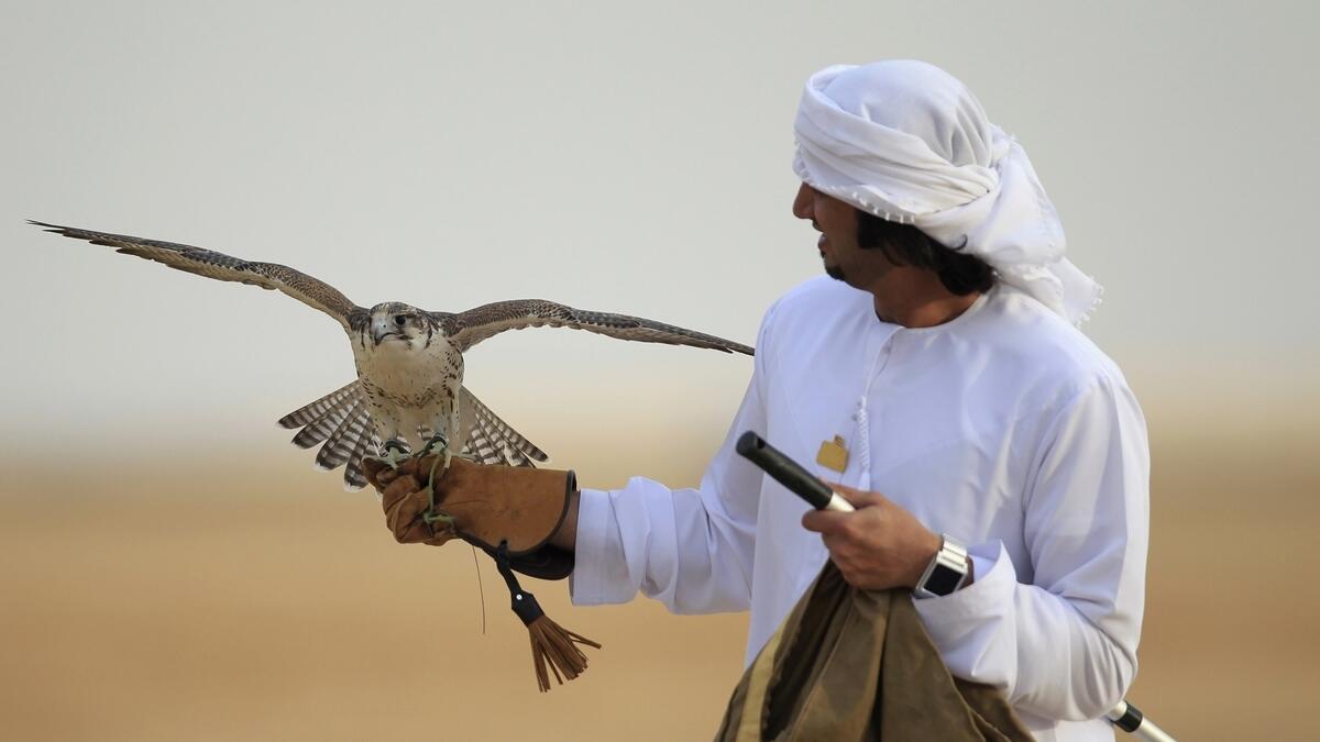 Abu Dhabi to host International Festival of Falconry 2017 