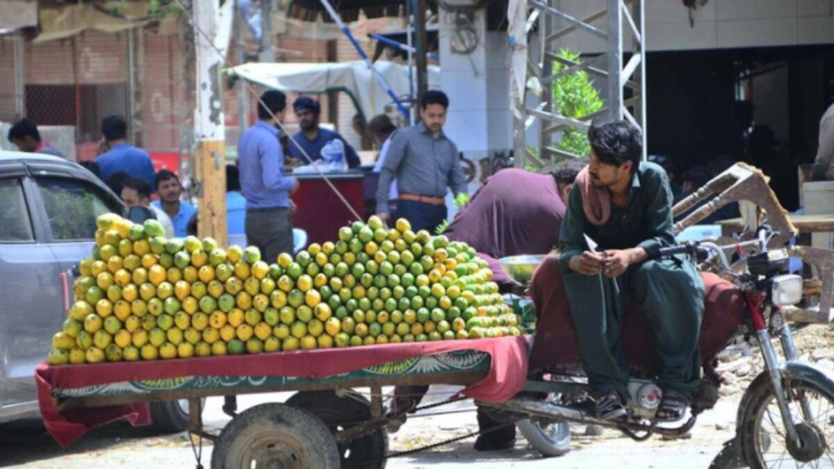 A vendor displaying the mangoes to attract the customers on his tricycle loader at Latifabad, Sindh, on Saturday. — APP 