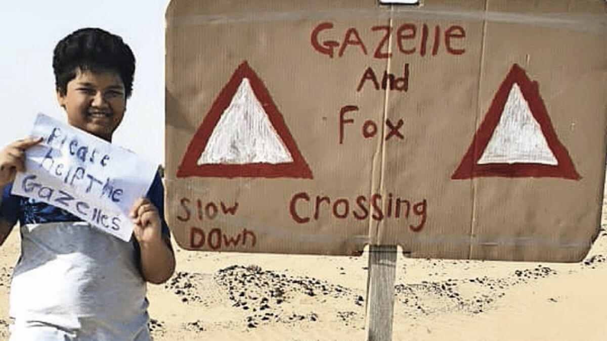 Family instals sign in Dubai to save gazelles from being run over 
