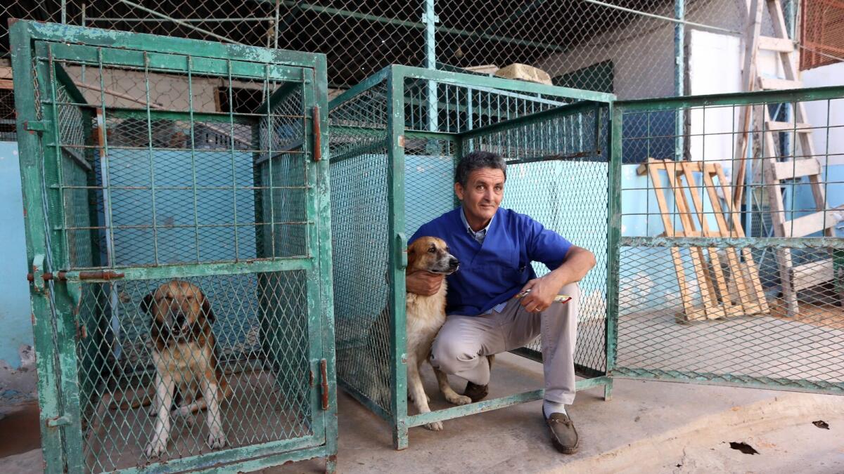He saved pets when bombs were raining down in Libya