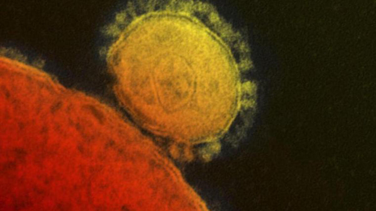 virus, outbreak, china, affect, not affect uae, novel coronavirus, health ministry, ministry of health
