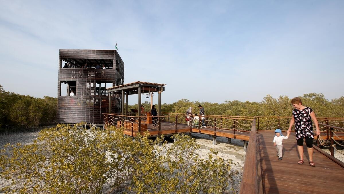 The newly opened Mangrove Walk has multiple viewing decks.