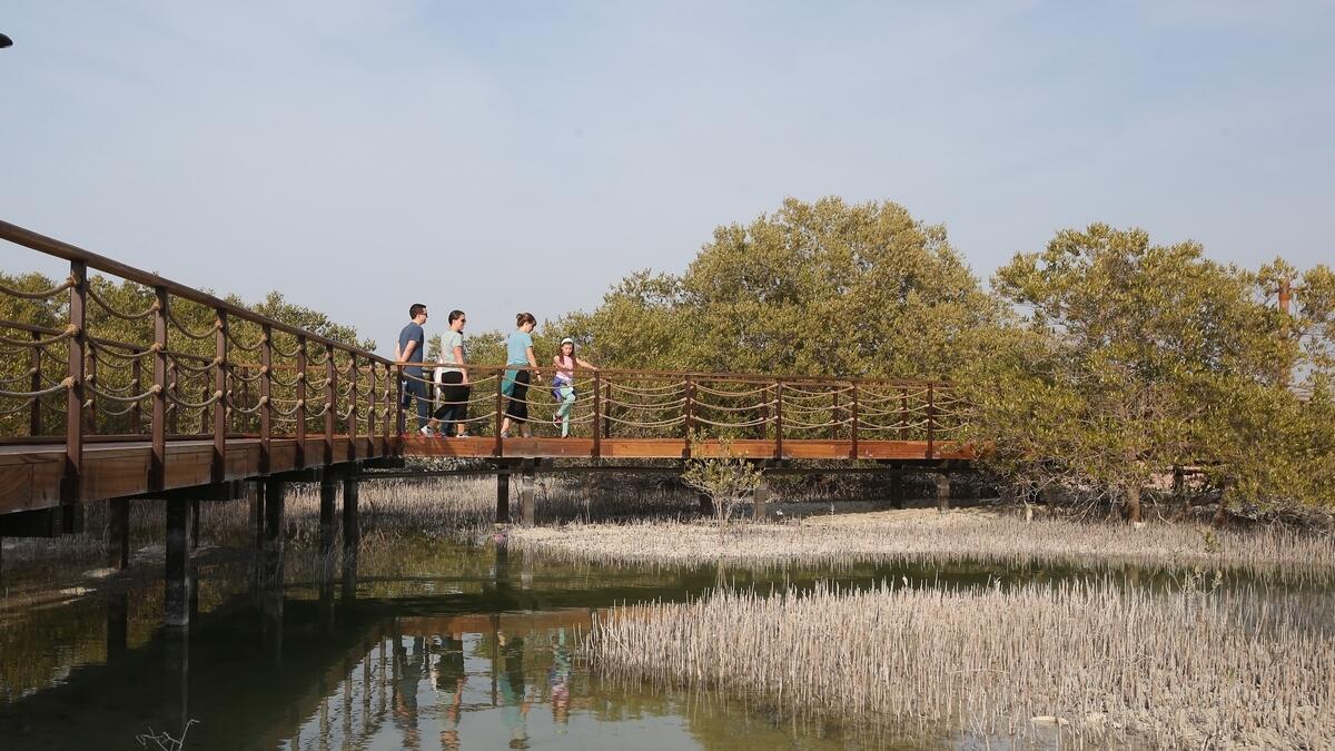 Apart from the boardwalk, it also has visitors centre for guests who would like to know more about how mangroves work within the ecosystem.