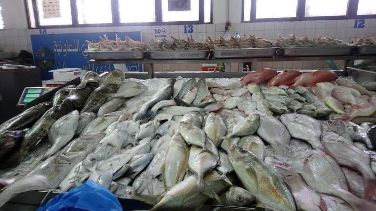 RAK residents call for import of Safi, Sheri fish during ban
