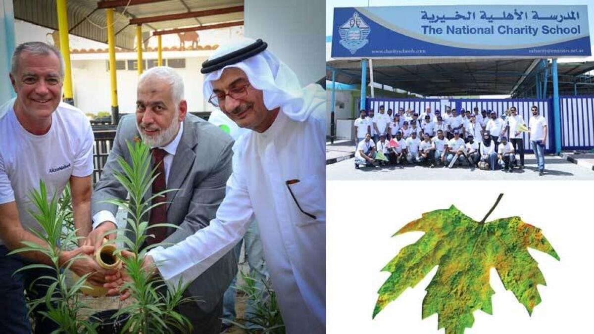 AkzoNobel highlights sustainability agenda to support UAEs green vision