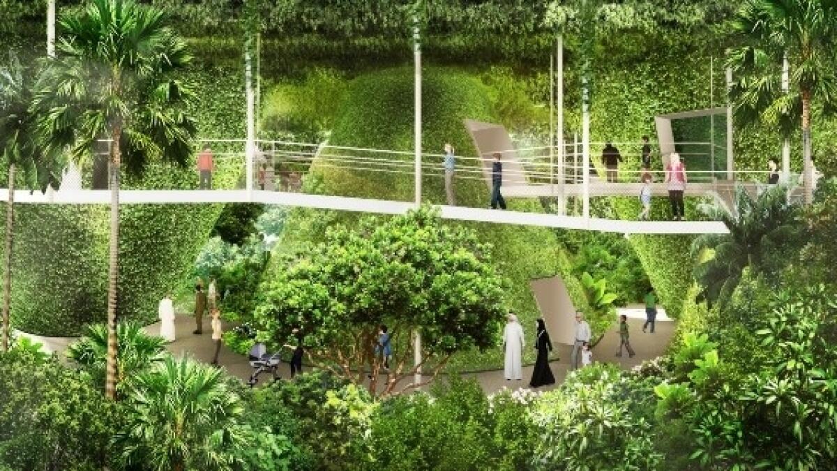 Singapores Expo 2020 pavilion to highlight countrys sustainability, resilience