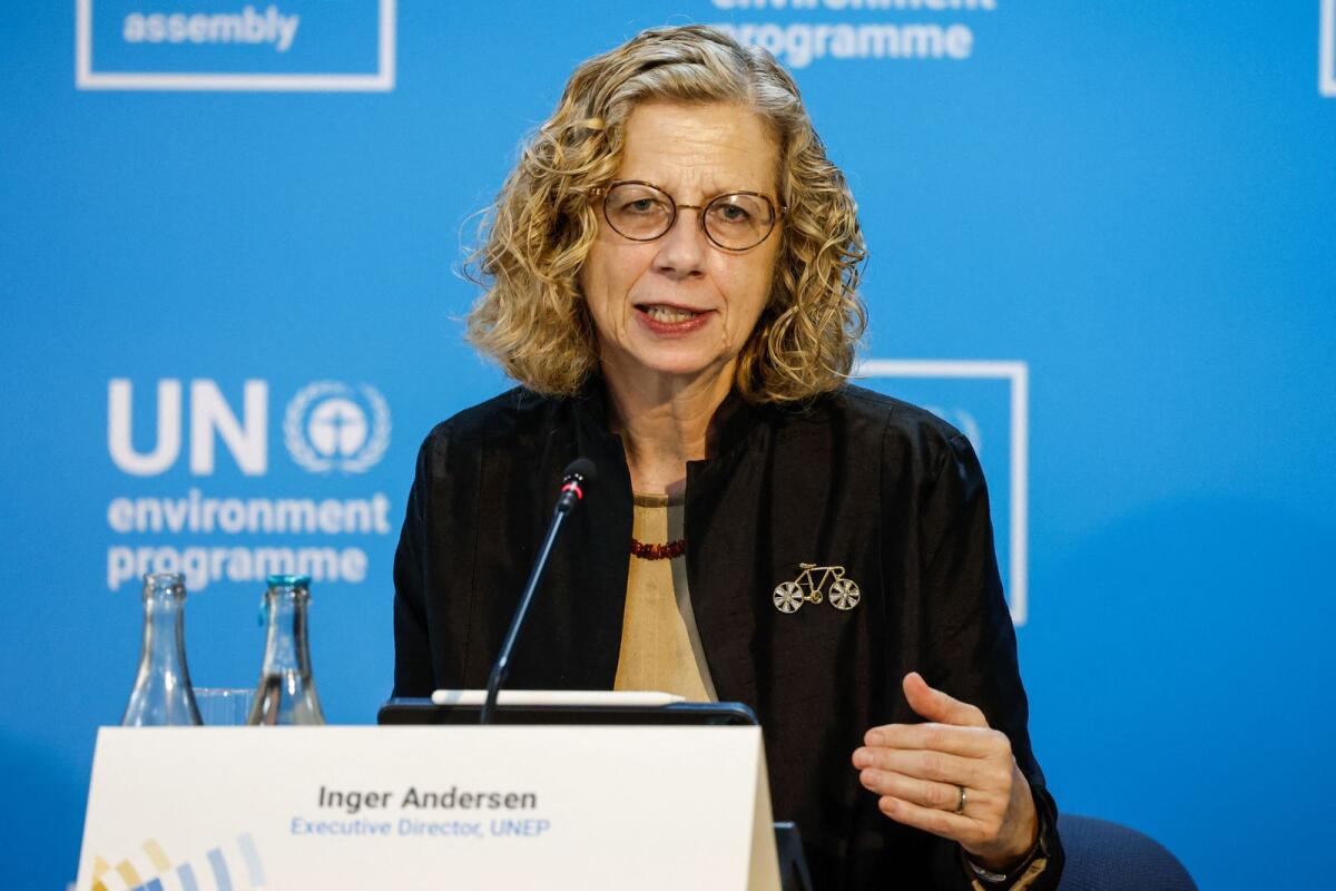 Executive director of the UN Environment Programme Inger Andersen speaks during a press conference in Nairobi on February 26, 2024. — AFP file