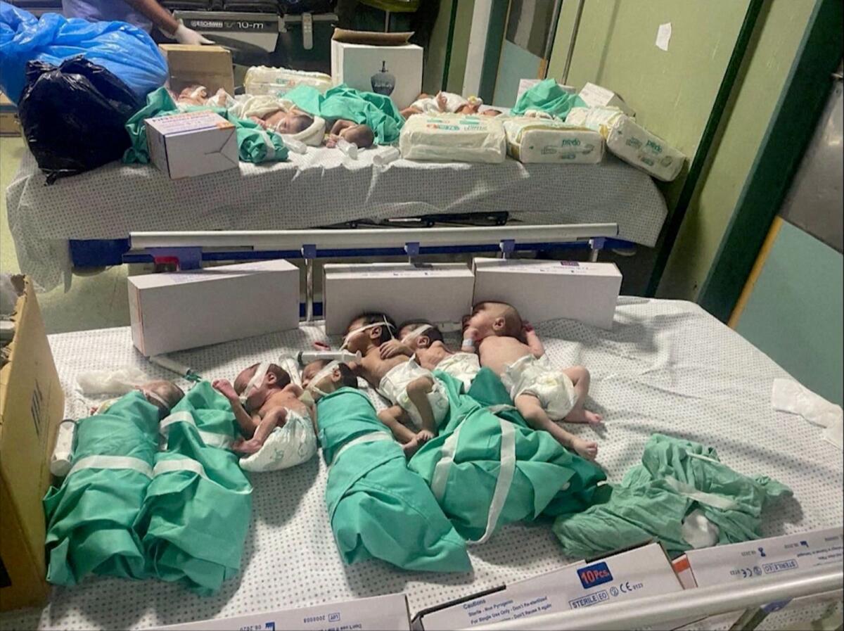 Newborns are placed in bed after being taken off incubators in Gaza's Al Shifa hospital after power outage, amid the ongoing conflict between Israel and Hamas. Photo: Reuters